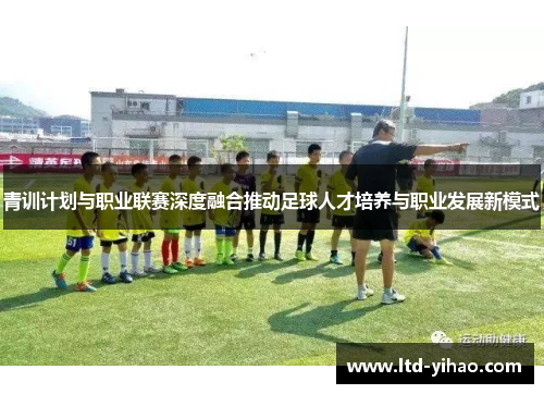 青训计划与职业联赛深度融合推动足球人才培养与职业发展新模式