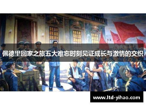 佩德里回家之旅五大难忘时刻见证成长与激情的交织