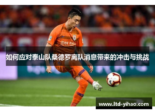 如何应对泰山队桑德罗离队消息带来的冲击与挑战