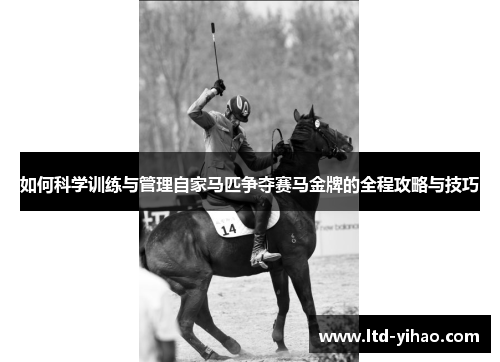 如何科学训练与管理自家马匹争夺赛马金牌的全程攻略与技巧