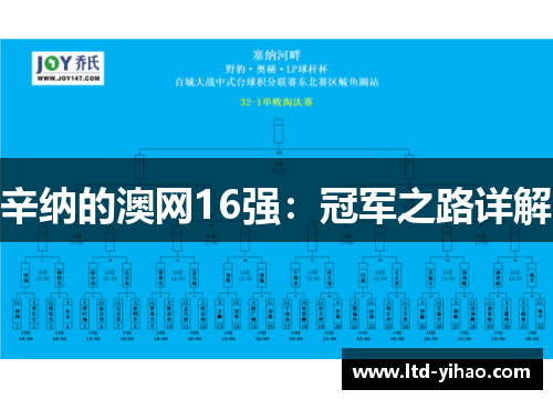 辛纳的澳网16强：冠军之路详解