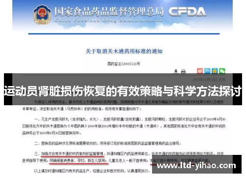 运动员肾脏损伤恢复的有效策略与科学方法探讨