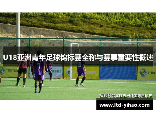 U18亚洲青年足球锦标赛全称与赛事重要性概述