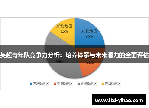 英超青年队竞争力分析：培养体系与未来潜力的全面评估