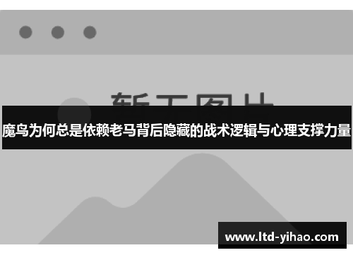 魔鸟为何总是依赖老马背后隐藏的战术逻辑与心理支撑力量