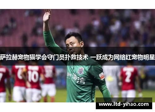 萨拉赫宠物猫学会守门员扑救技术 一跃成为网络红宠物明星