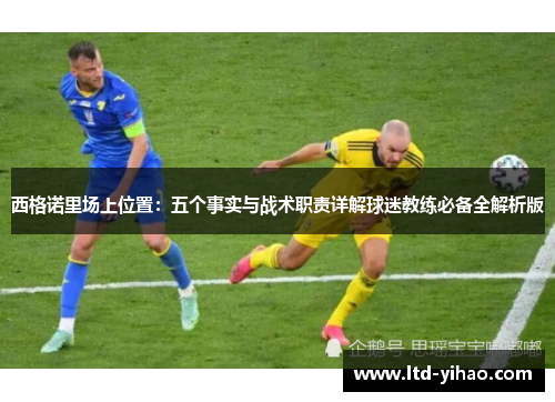 西格诺里场上位置：五个事实与战术职责详解球迷教练必备全解析版